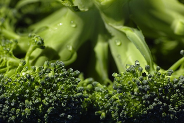 The Benefits of Fermented Foods for Gut Health