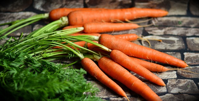 The Role of Nutrition in Chronic Disease Prevention