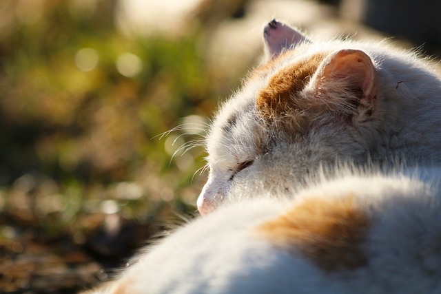 How Regular Exercise Contributes to Stress Reduction and Improved Sleep