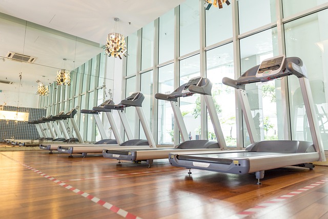 The Importance of Warm-Up and Cool-Down Exercises