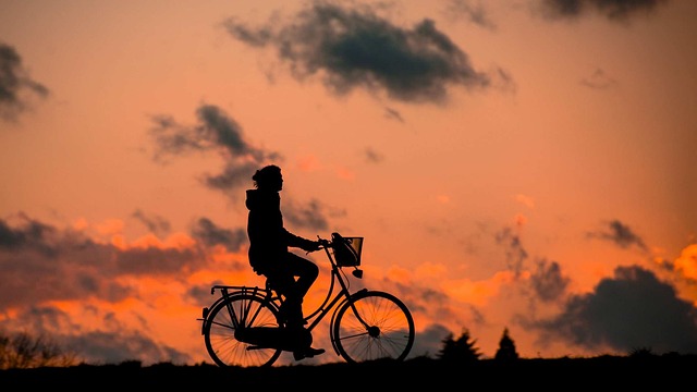 The Impact of Air Quality on Respiratory Health
